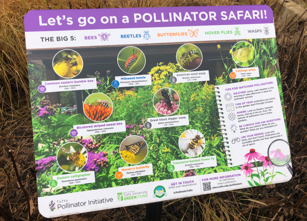 One of four interpretive signs that I designed to engage gardens visitors